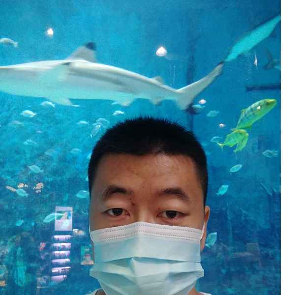 河北34岁单身帅哥真诚找对象-郴州征婚相亲网